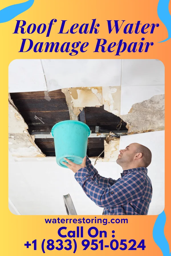 Roof Leak Water Damage Repair in Effie, MN