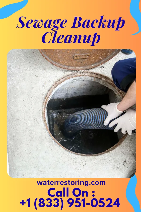 Sewage Backup Cleanup in Effie, MN