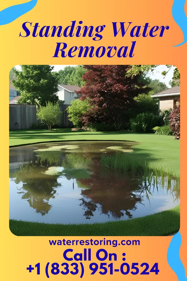 Standing Water Removal in Effie, MN
